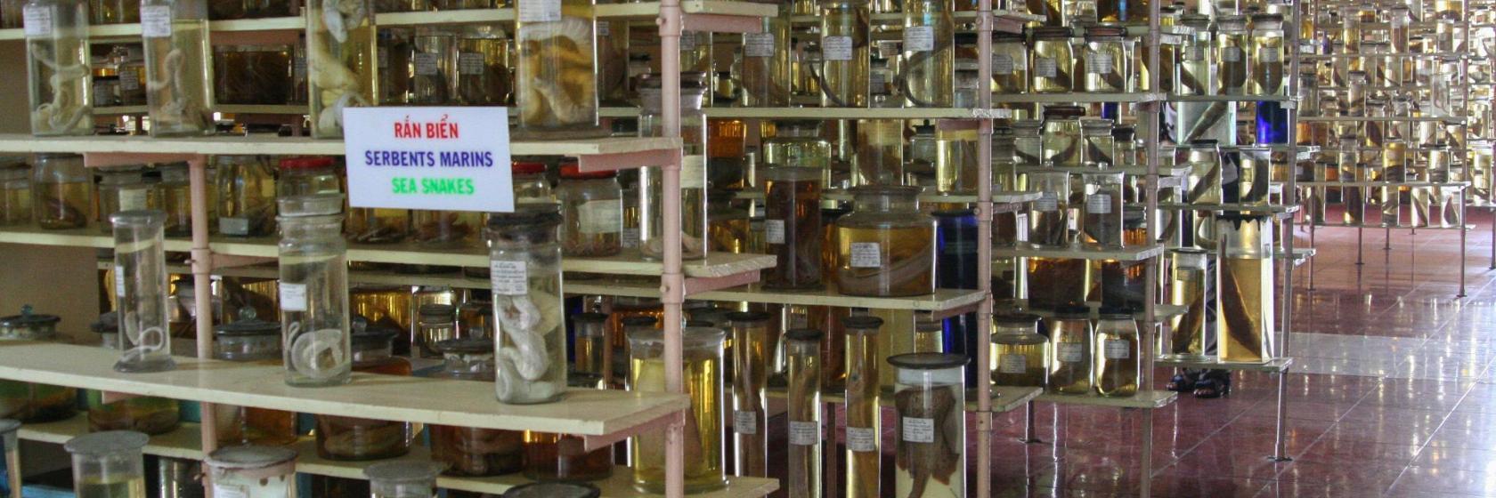 National Oceanographic Museum of Vietnam